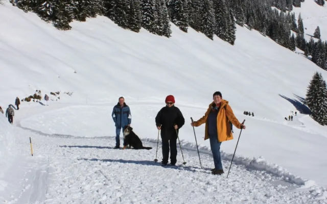 Kreuzwiesen Comfortable Holiday Residence