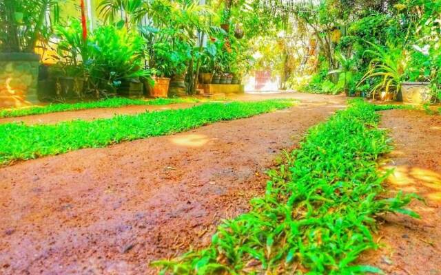 Green Garden Resort