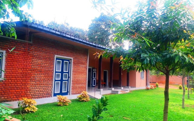 Honey Tree Polonnaruwa