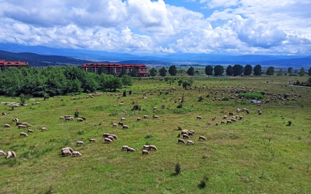 F307 Studio Aspen Golf Resort Bansko