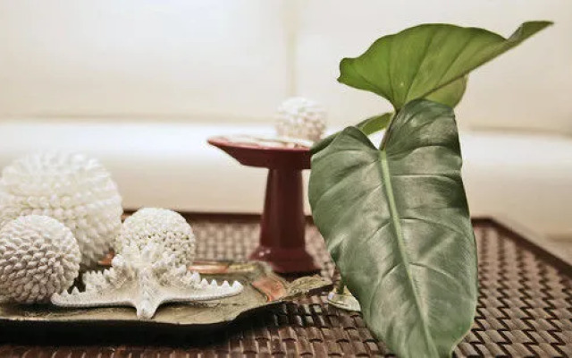 Watermark at Wategos