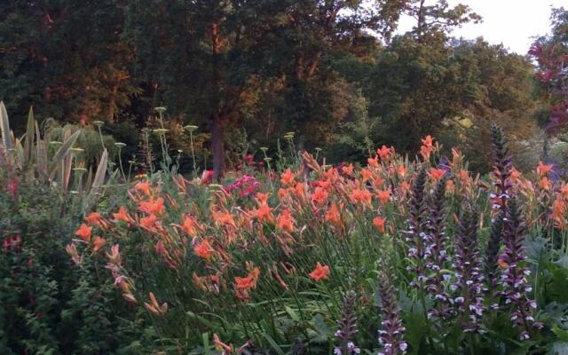 Chambre dHotes La Queue au Loup