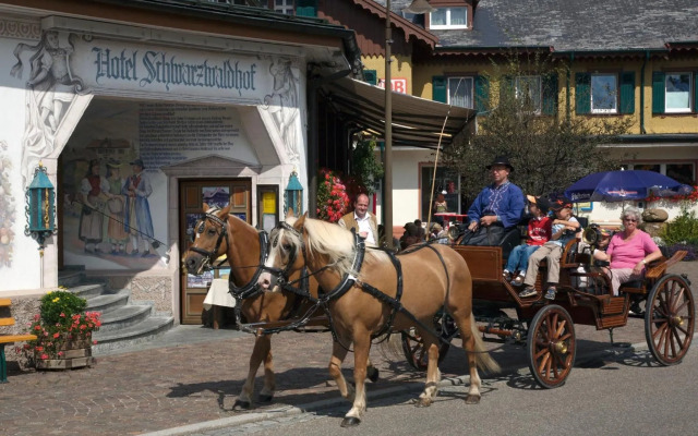 Hotel Schwarzwaldhof