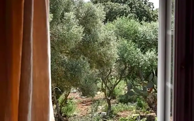 Refugi Biniati Vell