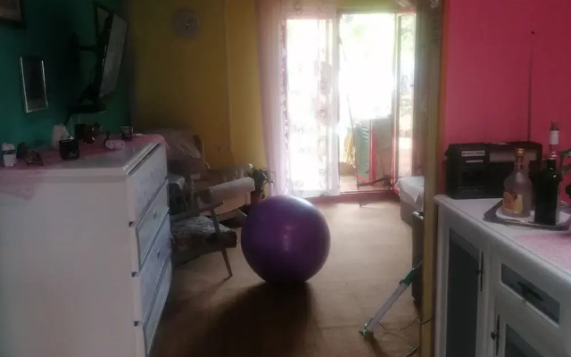 Apartment Dario Šolta