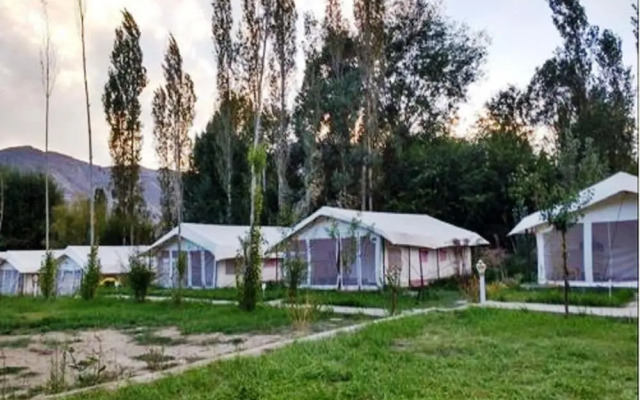 Saser Camp Nubra