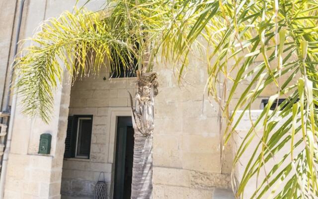 B&B Tarantola