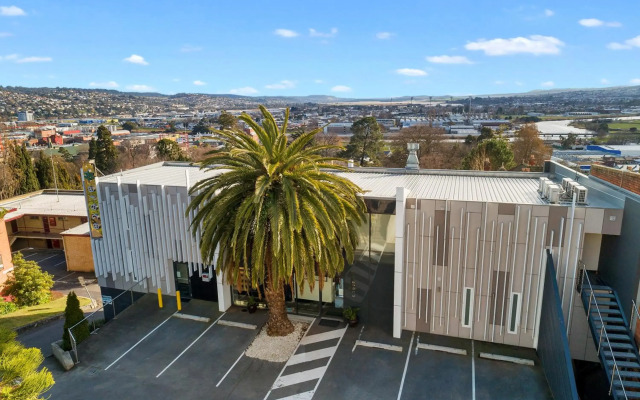 Areca Launceston 