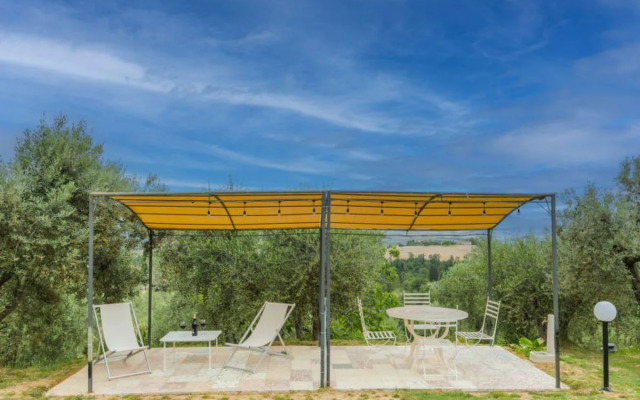 House Miranda Volterra