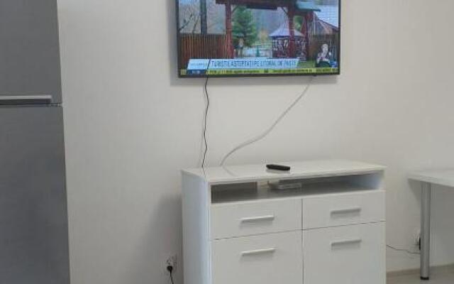 Apartament Central 63