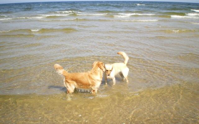 Ferienwohnungen Ückeritz - bei Familie Habben-Hollander