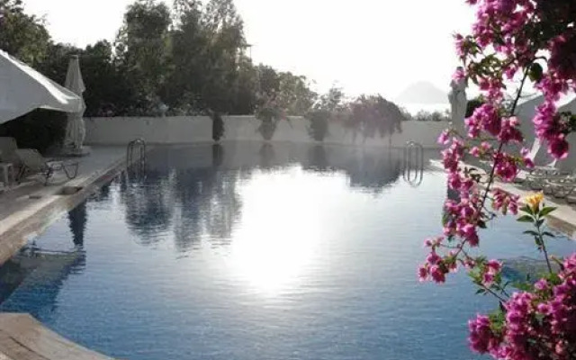 Lavanta Hotel