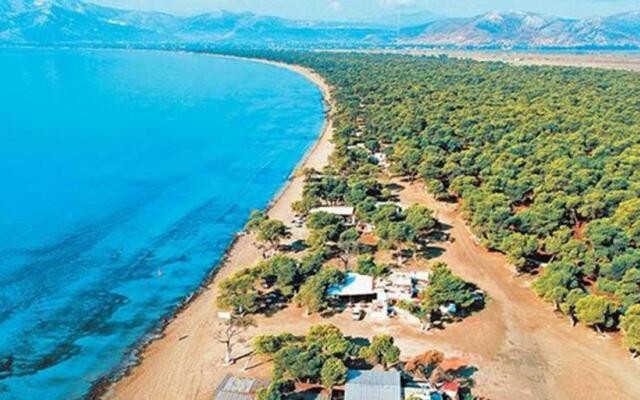 Villa House 200m From Sea