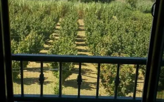 Casale dei Lamponi a "le Moline" vita in fattoria