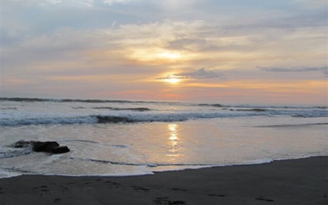 Pacific Paradise