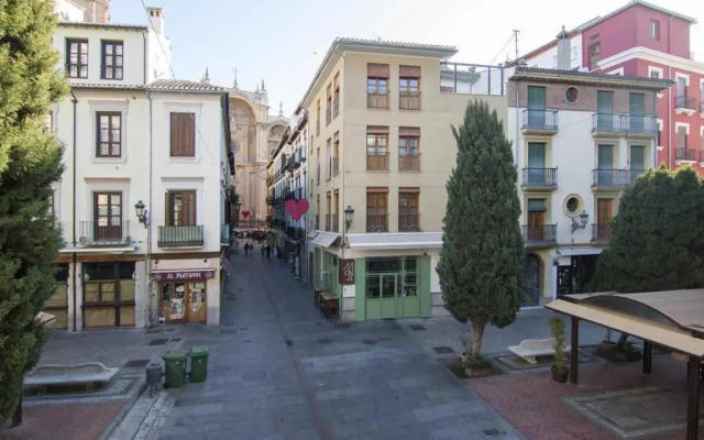 ECO CENTER GRANATENSIS CATEDRAL 2 habitaciones free párking