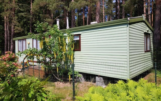 Beautiful holiday home near the pine forest
