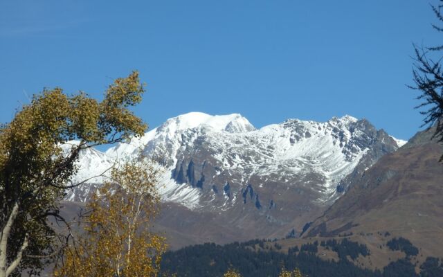 Chalet Village Courbaton