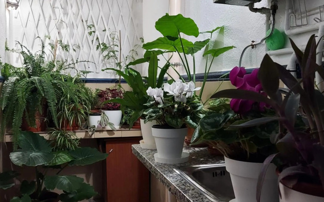 Apartamentos Los Descalzos