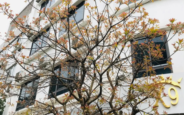 X9 Hotel