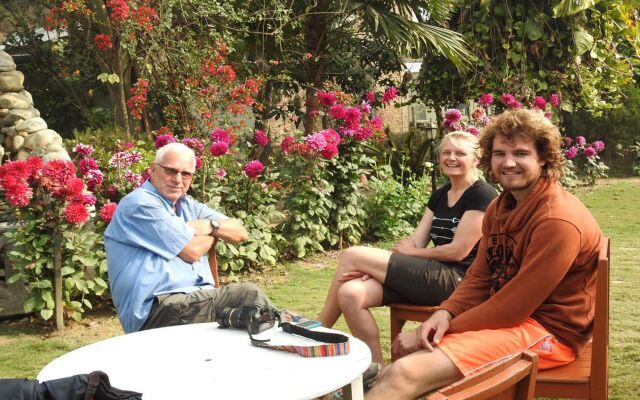 Traveller Jungle Camp