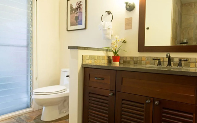 Aina Nalu Condo A107 - 2 Br Condo