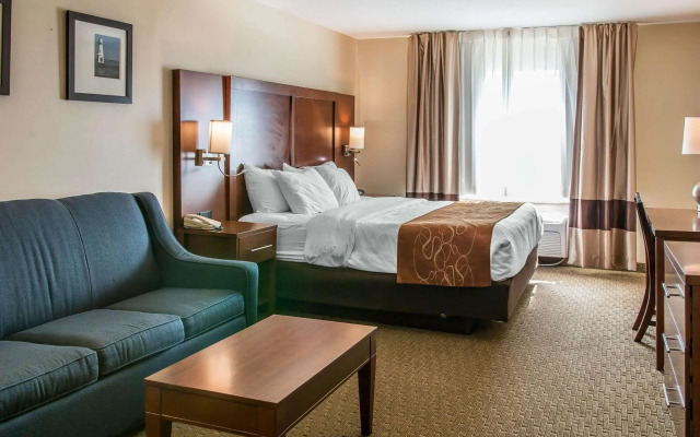 Comfort Suites Wixom - Novi