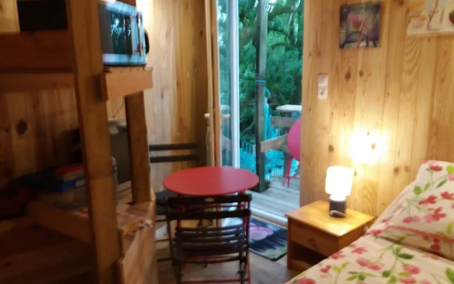 Cabane Dans Les Arbres - Le Nid Dans Le Chêne