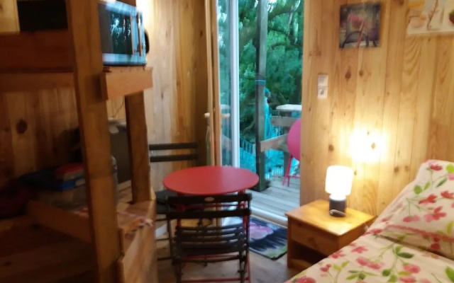 Cabane Dans Les Arbres - Le Nid Dans Le Chêne