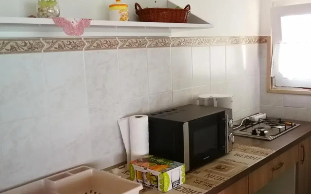 Diófa Kuckó Apartman