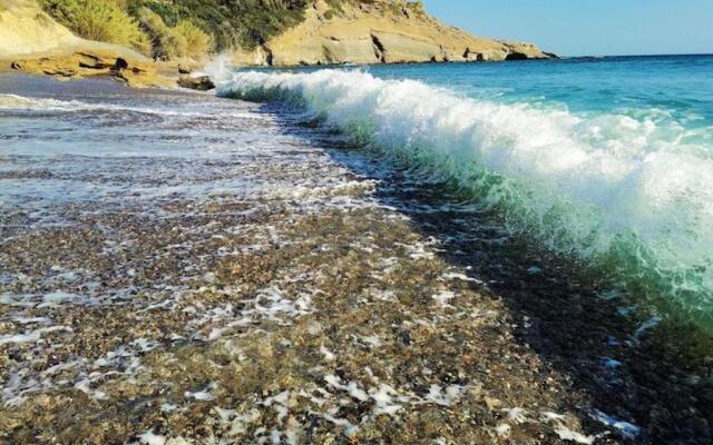 Apartments With Garden View1