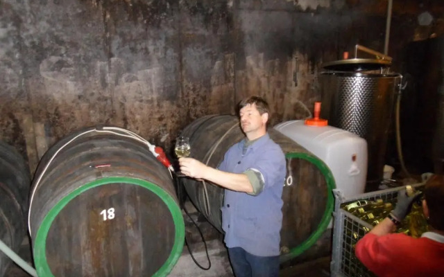 Gästehaus Weingut - Fröhliches Weinfass