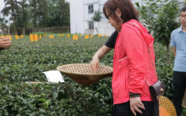 The Beyond Villa Guilin