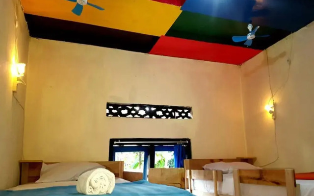 Dodo Dormitory Backpacker