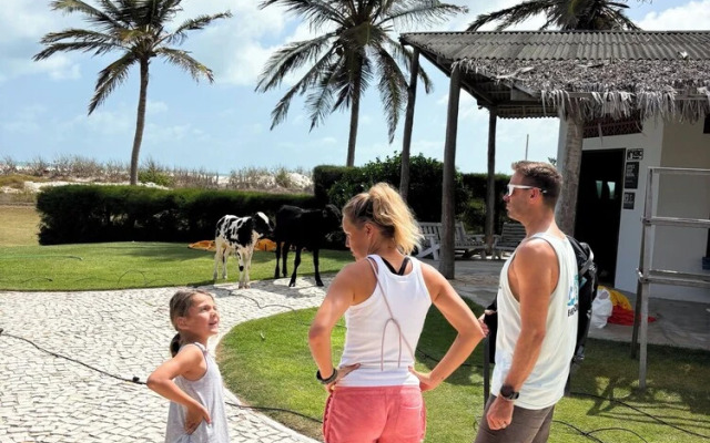 Paradise Suit Sal Premium