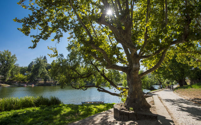 Des Arts- Guesthouse - Hostel