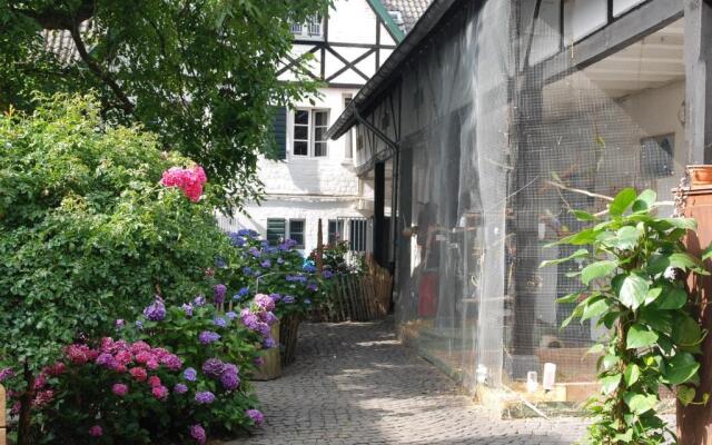 RheinRiver Guesthouse - Direkt am Rhein