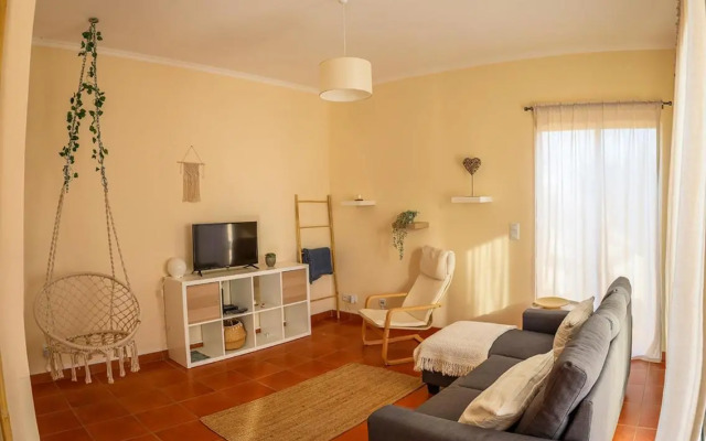 O DRAGOEIRO da Madalena!