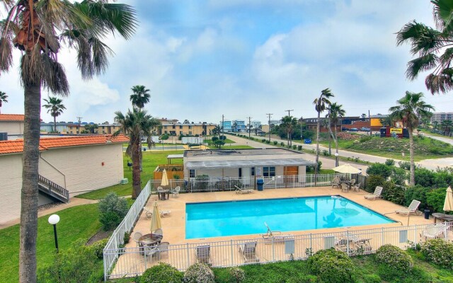 Pearl Marlin 205 by RedAwning