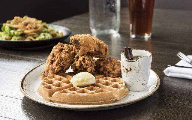 Holland America Denali Lodge