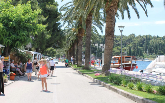 Villa By The Sea Near Dubrovnik