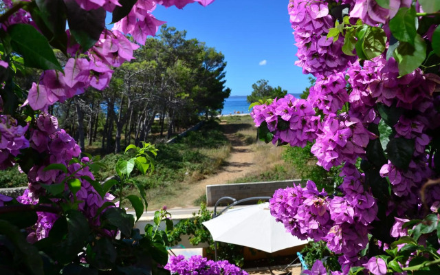 Apartements Delfin Vir