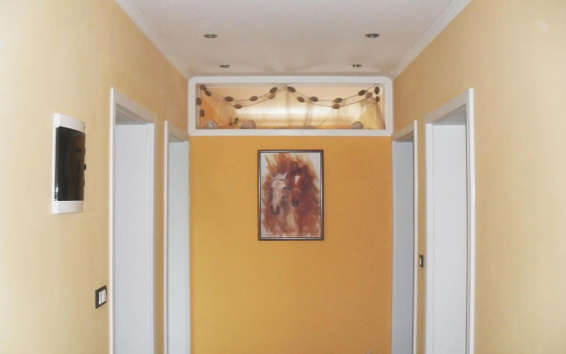 Apartments Sandra