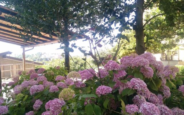 Aritzo appartamento romantico