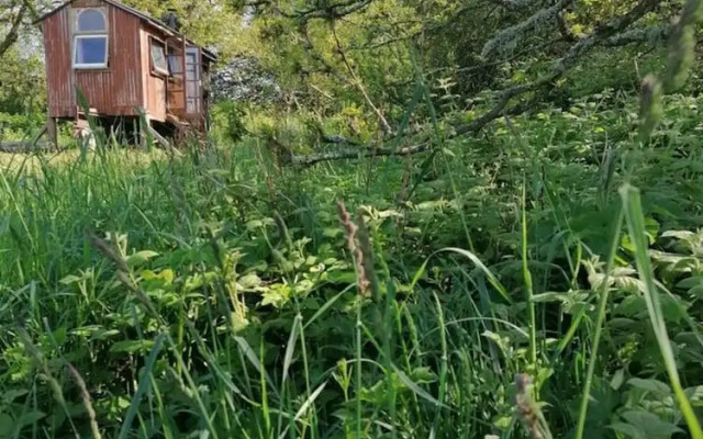 Stunning 1-bed Cabin in Totnes