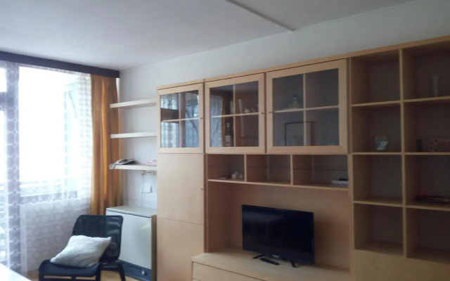 Panoramis apartment in Schladming