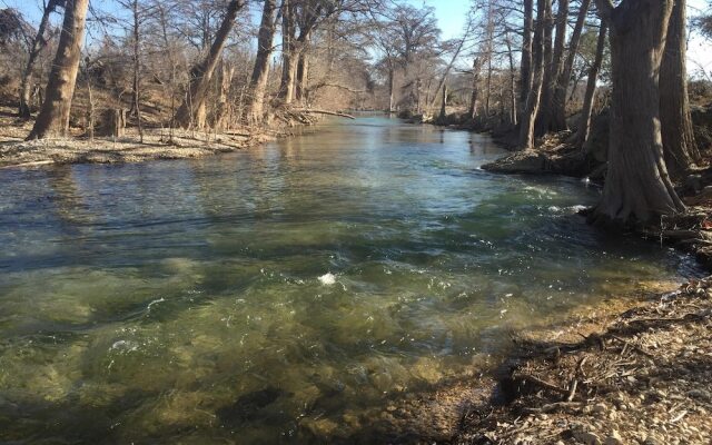 Twin Elm Guest Ranch