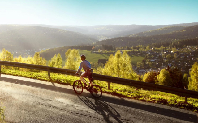 Ferienhotel Mühlleithen