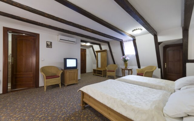 Hotel Cerny Slon