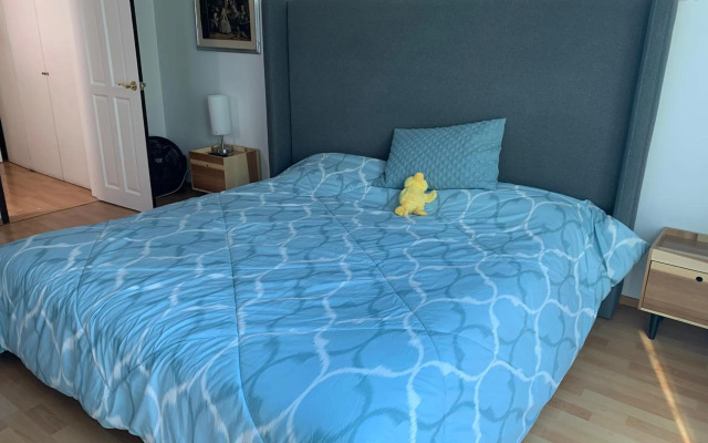 Rooftop Penthouse Lamartine Polanco